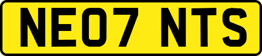 NE07NTS