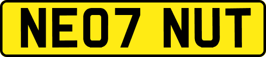 NE07NUT