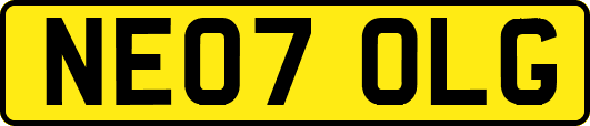 NE07OLG