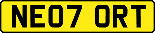 NE07ORT