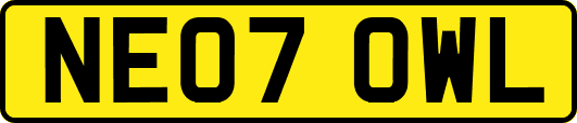 NE07OWL