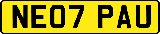 NE07PAU