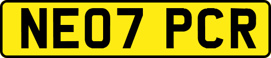 NE07PCR