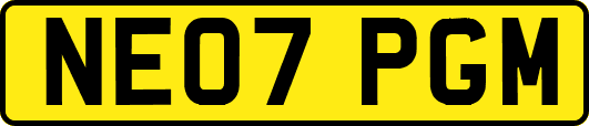 NE07PGM