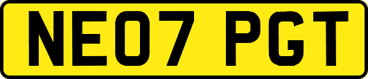 NE07PGT