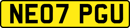 NE07PGU