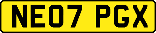 NE07PGX