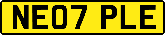 NE07PLE
