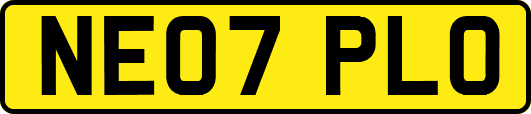 NE07PLO