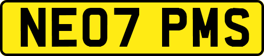 NE07PMS
