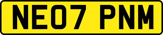 NE07PNM