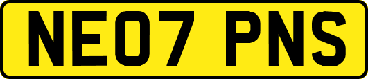NE07PNS