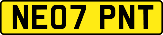 NE07PNT