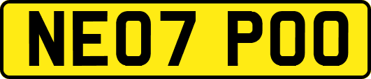 NE07POO