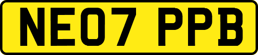 NE07PPB