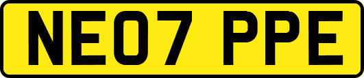 NE07PPE