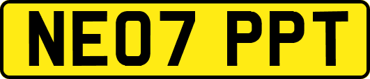 NE07PPT