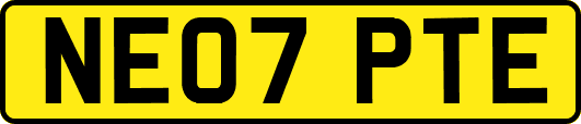 NE07PTE