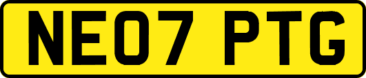 NE07PTG