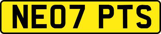 NE07PTS
