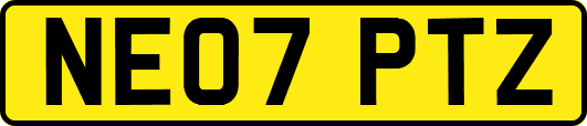 NE07PTZ