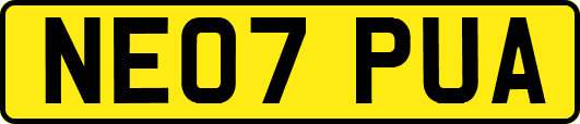 NE07PUA