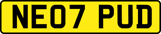 NE07PUD