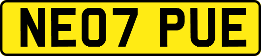 NE07PUE