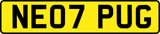 NE07PUG