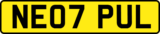 NE07PUL