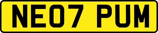 NE07PUM
