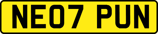 NE07PUN