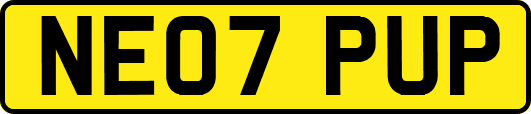 NE07PUP