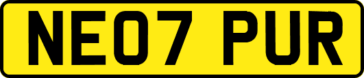 NE07PUR