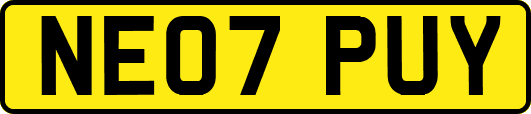 NE07PUY