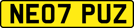 NE07PUZ