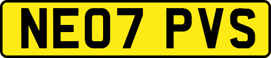 NE07PVS