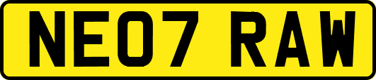 NE07RAW