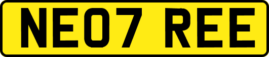 NE07REE