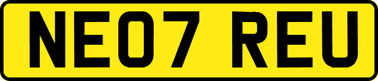 NE07REU