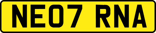 NE07RNA