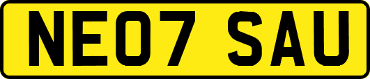 NE07SAU