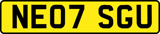 NE07SGU