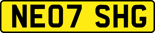 NE07SHG