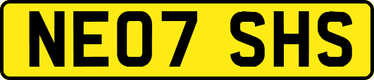 NE07SHS
