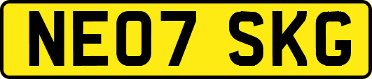 NE07SKG