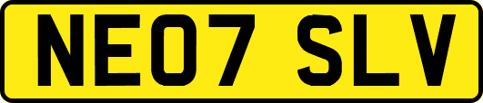 NE07SLV