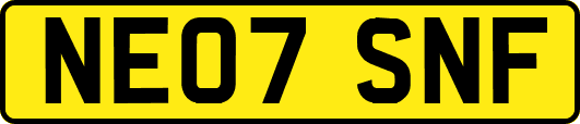 NE07SNF