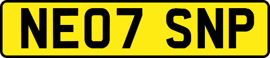 NE07SNP