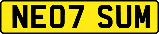 NE07SUM